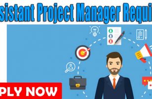 Assistant Project Manager Required Dubai