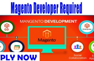 Magento Developer Required Required