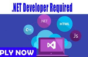 NET Developer Required DUBAI