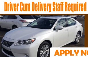 Driver Cum Delivery Staff Required UAE