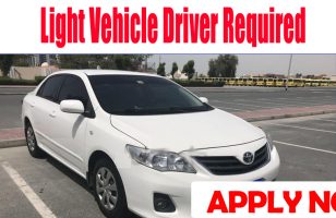 Light Vehicle Driver Required DUBAI