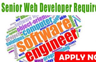 Senior Web Developer Required DUBAI