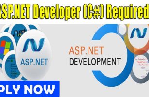 ASP.NET Developer C Required DUBAI