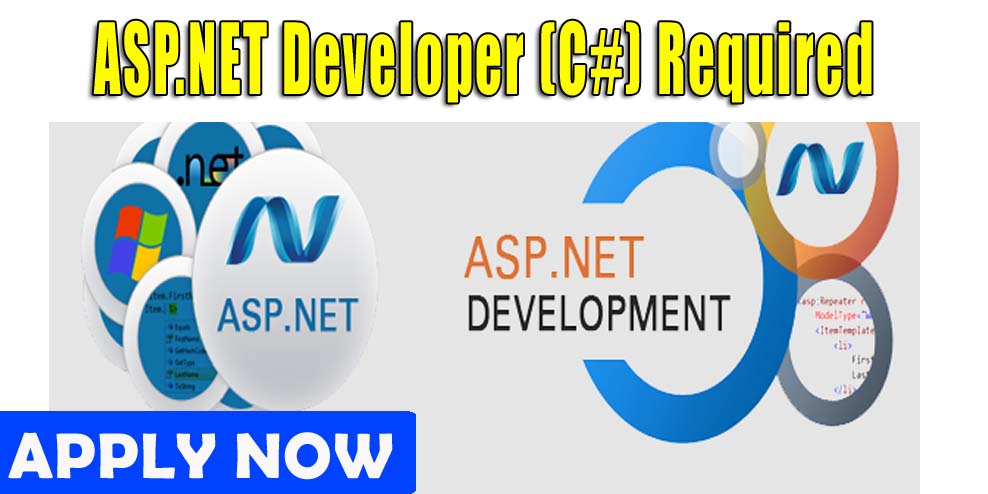 Asp. net programmer jobs in uae