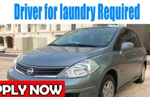 Driver for laundry Required Dubai