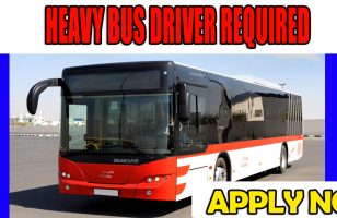 HEAVY BUS DRIVER REQUIRED