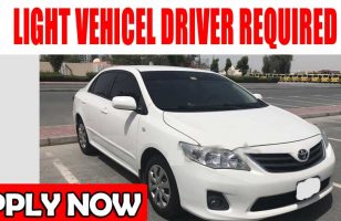 LIGHT VEHICEL DRIVER REQUIRED DUBAI