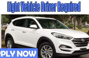 Light Vehicle Driver Required Dubai 1
