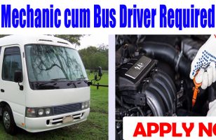 Mechanic cum Bus Driver Required DUBAI