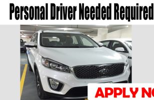 Personal Driver Needed Required