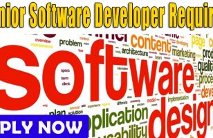 Senior Software Developer Required DUBAI