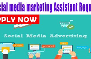 Social media marketing Assistant Required Dubai