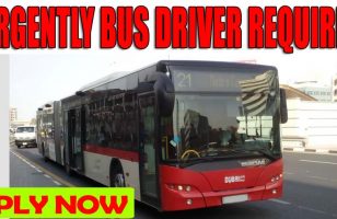 URGENTLY BUS DRIVER REQUIRED DUBAI