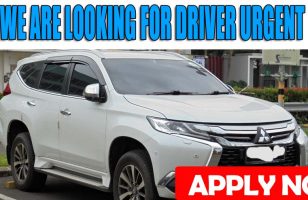 WE ARE LOOKING FOR DRIVER URGENT DUBAI