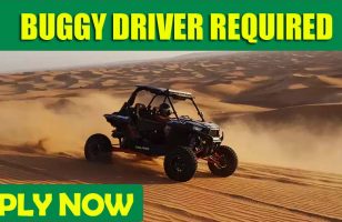 BUGGY DRIVER REQUIRED DUBAI