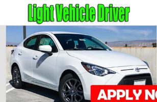 Light Vehicle Driver DUBAI