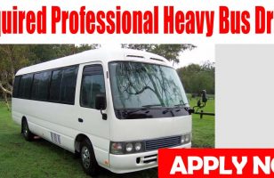 Required Professional Heavy Bus Driver DUBAI