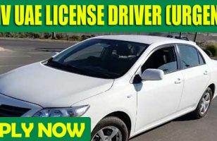 LMV UAE LICENSE DRIVER URGENT DUBAI