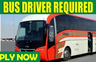 BUS DRIVER REQUIRED DUBAI 4