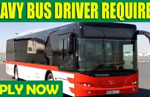 HEAVY BUS DRIVER REQUIRED DUBAI