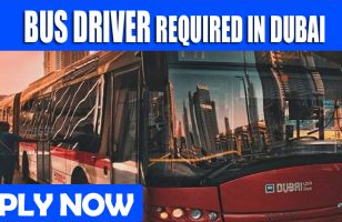 BUS DRIVER REQUIRED IN DUBAI