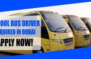 SCHOOL BUS DRIVER REQUIRED IN DUBAI