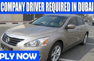 COMPANY DRIVER REQUIRED IN DUBAI