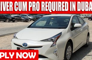 DRIVER CUM PRO REQUIRED IN DUBAI
