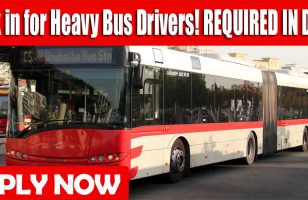 Walk in for Heavy Bus Drivers! REQUIRE IN DUBAI