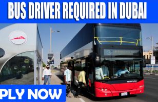 BUS DRIVER REQUIRED IN DUBAI