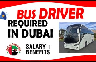 BUS DRIVER REQUIRED IN DUBAI