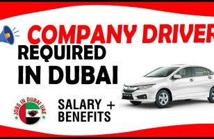 COMPANY DRIVER REQUIRED IN DUBAI