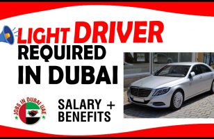 LIGHT DRIVER REQUIRED IN DUBAI