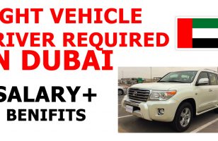 LIGHT VEHICLE DRIVER REQUIRED IN DUBAI
