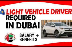 LIGHT VEHICLE DRIVER REQUIRED IN DUBAI