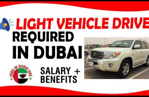 LIGHT VEHICLE DRIVER REQUIRED IN DUBAI