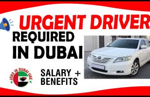 URGENT DRIVER REQUIRED IN DUBAI