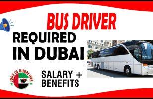 BUS DRIVER REQUIRED IN DUBAI