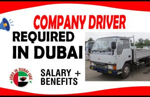 COMPANY DRIVER REQUIRED IN DUBAI