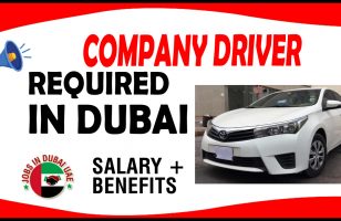 COMPANY DRIVER REQUIRED IN DUBAI