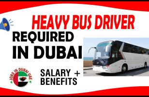 HEAVY BUS DRIVER REQUIRED IN DUBAI