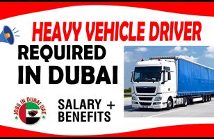 HEAVY VEHICLE DRIVER REQUIRED IN DUBAI