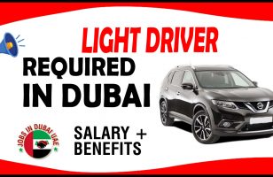 LIGHT DRIVER REQUIRED IN DUBAI