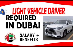 LIGHT VEHICLE DRIVER REQUIRED IN DUBAI