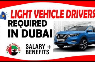 LIGHT VEHICLE DRIVERS REQUIRED IN DUBAI