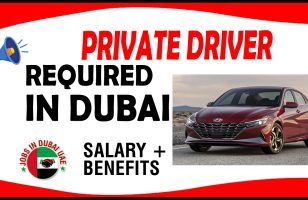 PRIVATE DRIVER REQUIRED IN DUBAI