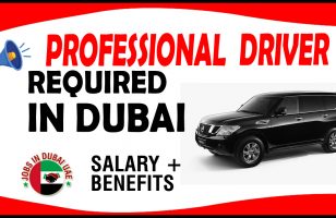 PROFESSIONAL DRIVER REQUIRED IN DUBAI