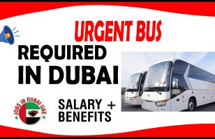 URGENT BUS REQUIRED IN DUBAI