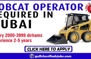 BOBCAT OPERATOR REQUIRED IN DUBAI