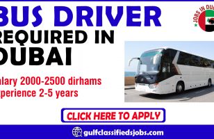 BUS DRIVER REQUIRED IN DUBAI